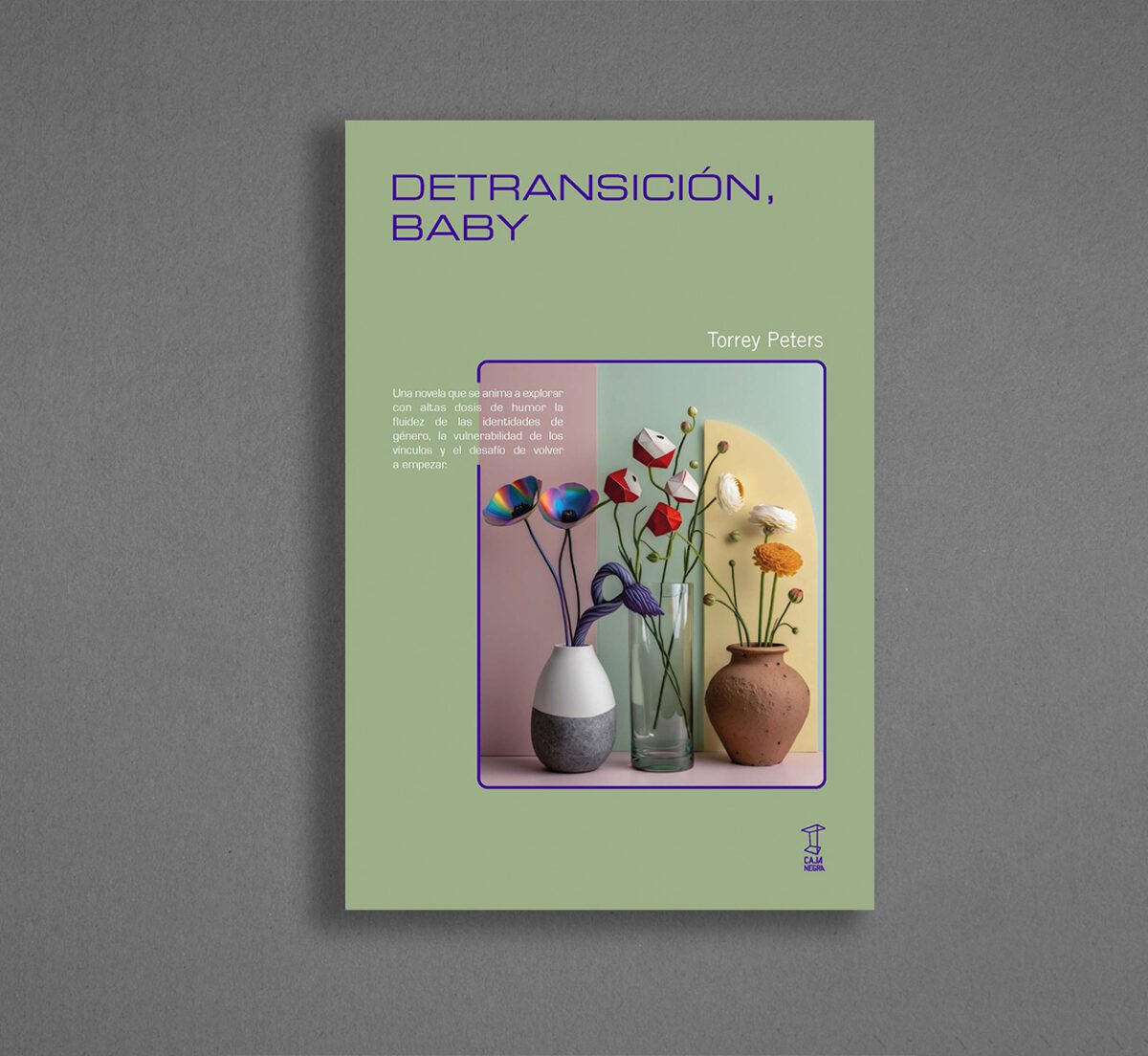 Tapa de – DETRANSICIÓN, BABY - Torrey Peters - Caja Negra Editora